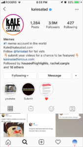 memer bio for instagram